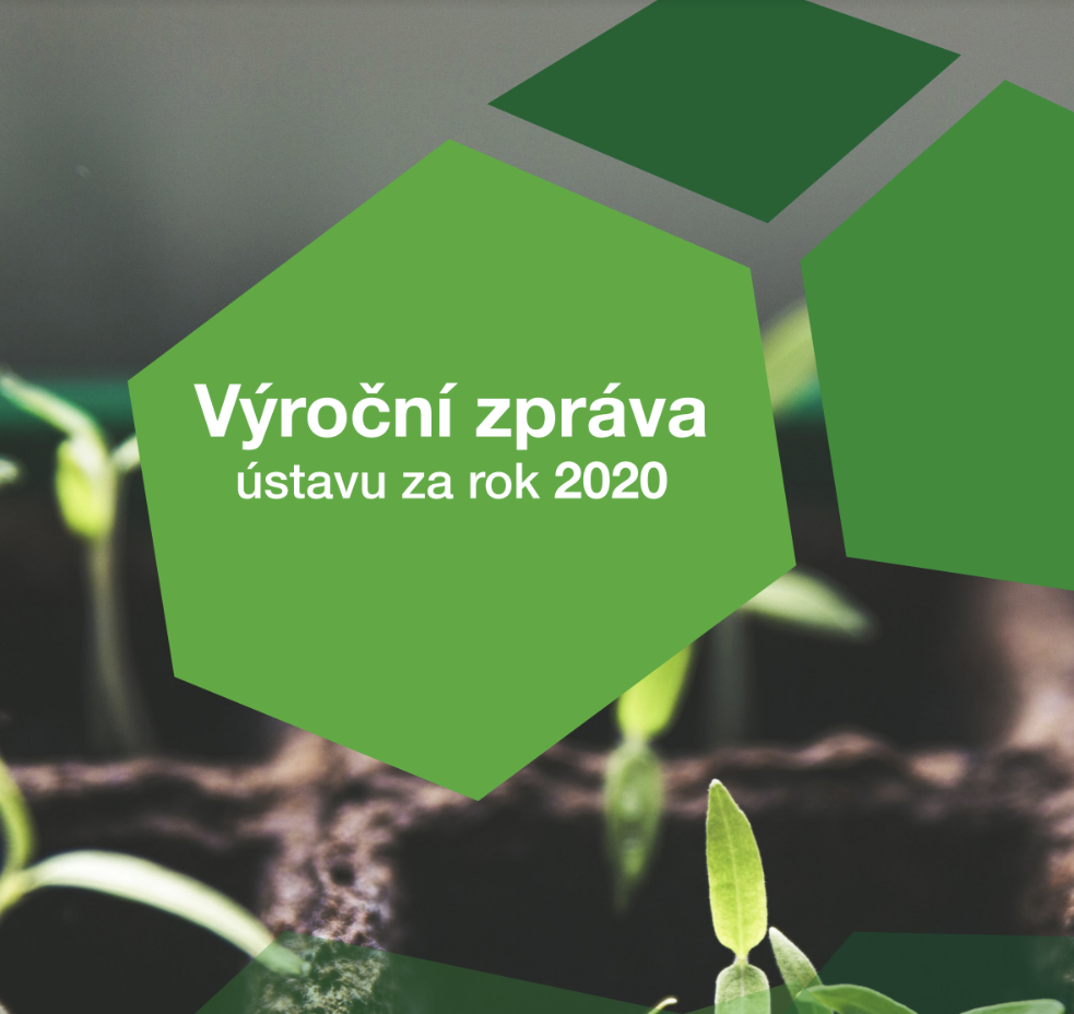 vyrocni zprava
